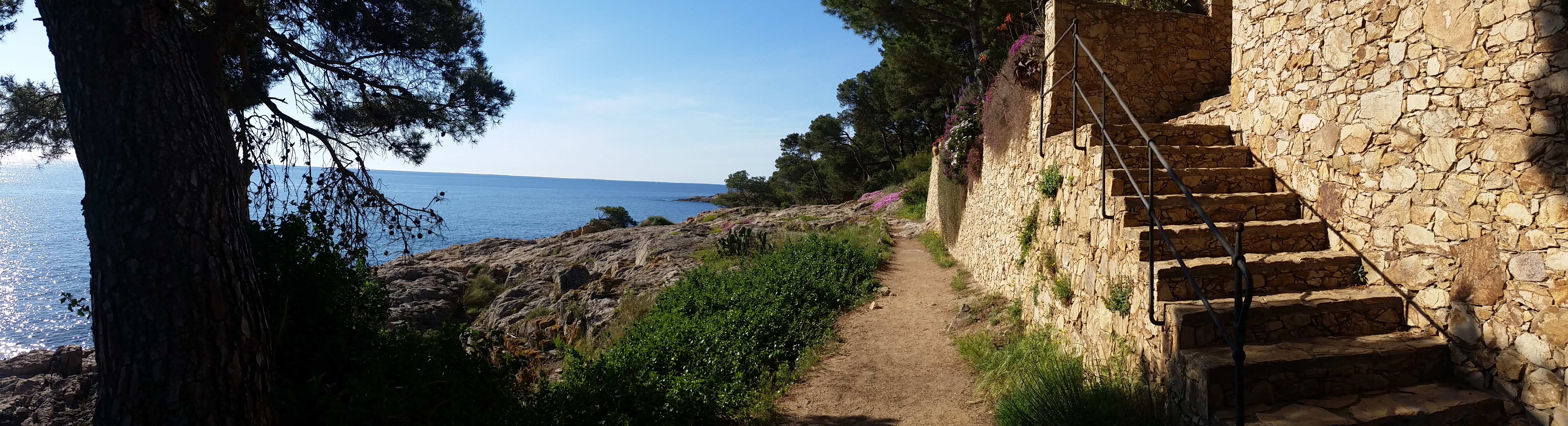Running paths on the Ancient Sea