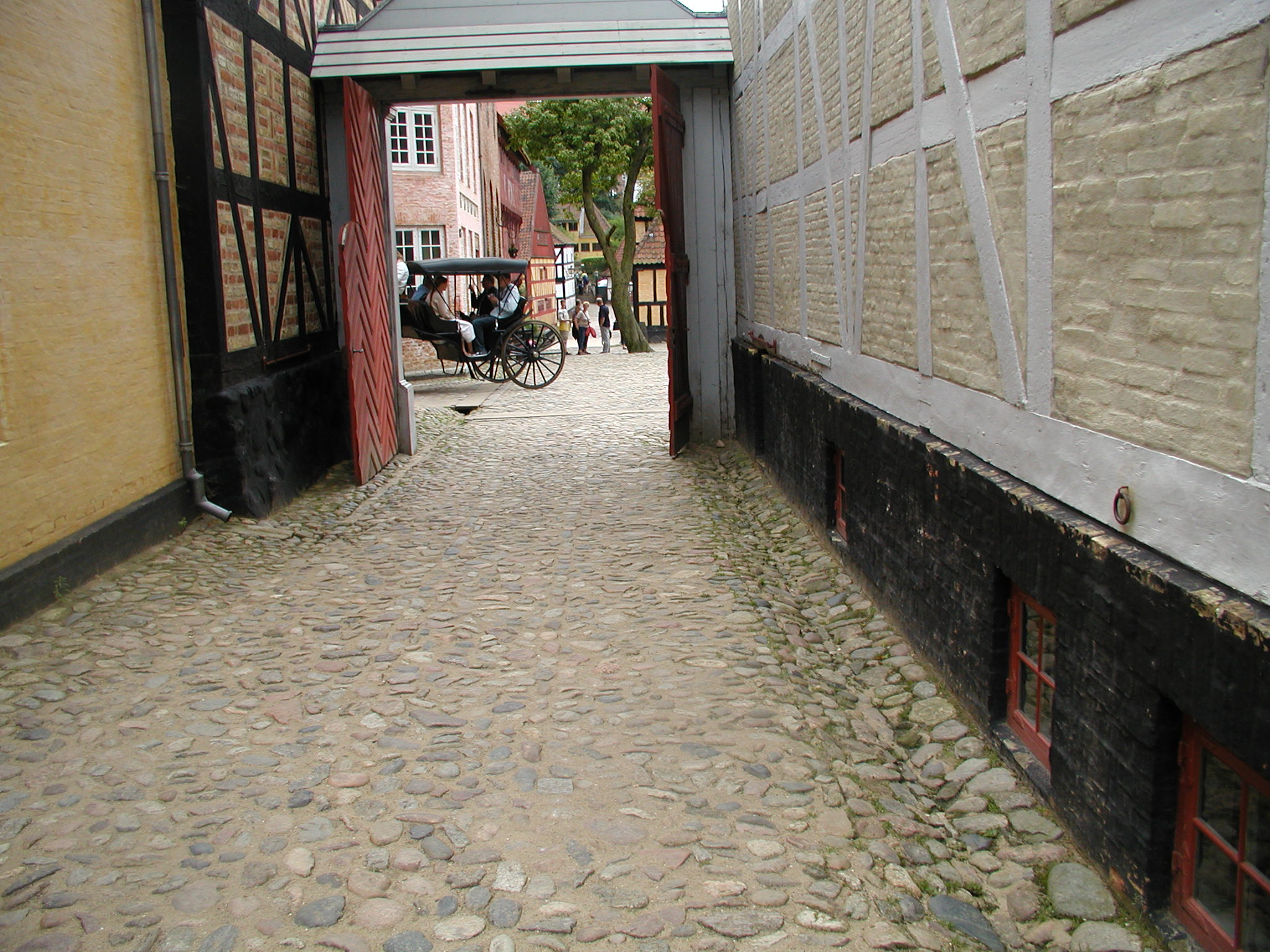 OLYMPUS DIGITAL CAMERA