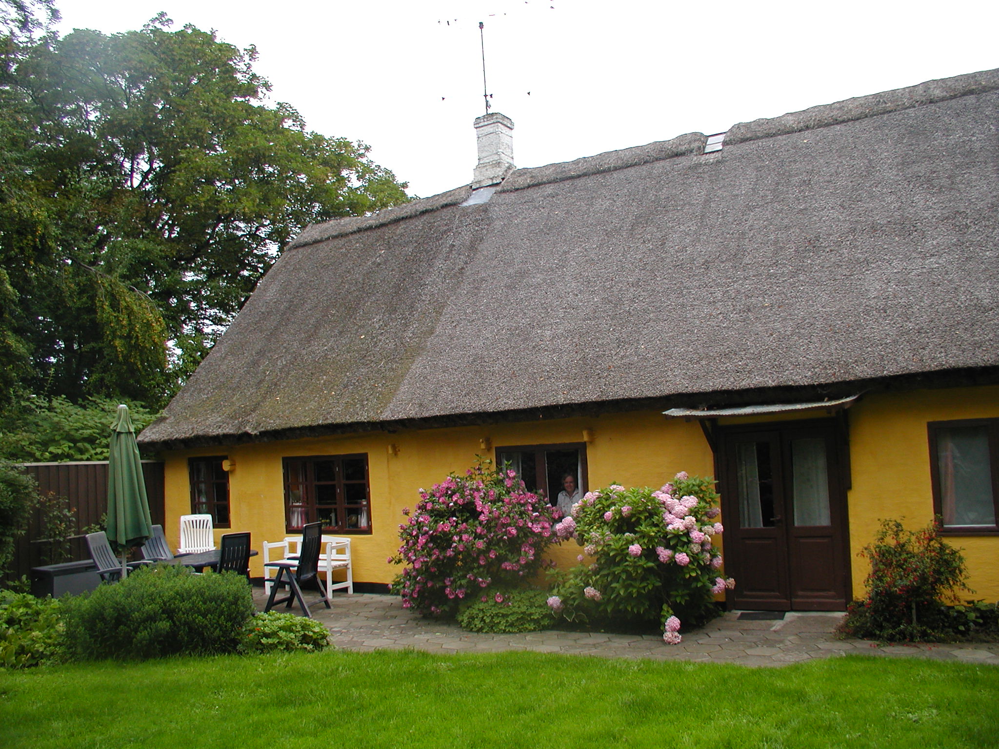 OLYMPUS DIGITAL CAMERA