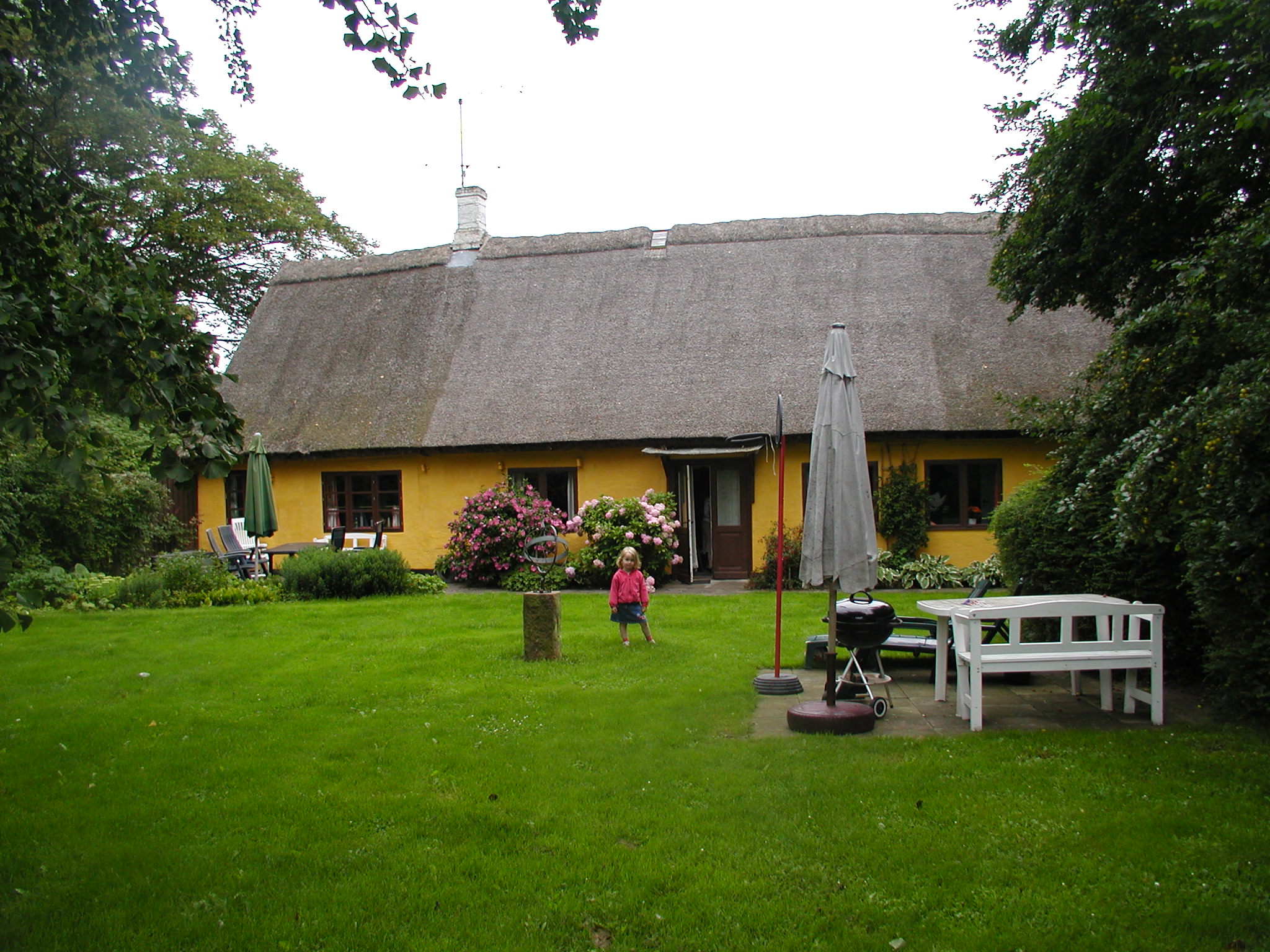 OLYMPUS DIGITAL CAMERA