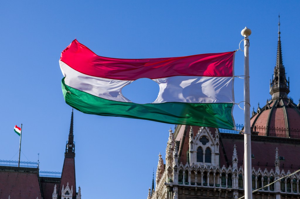Hungarian Revolutionary Flag