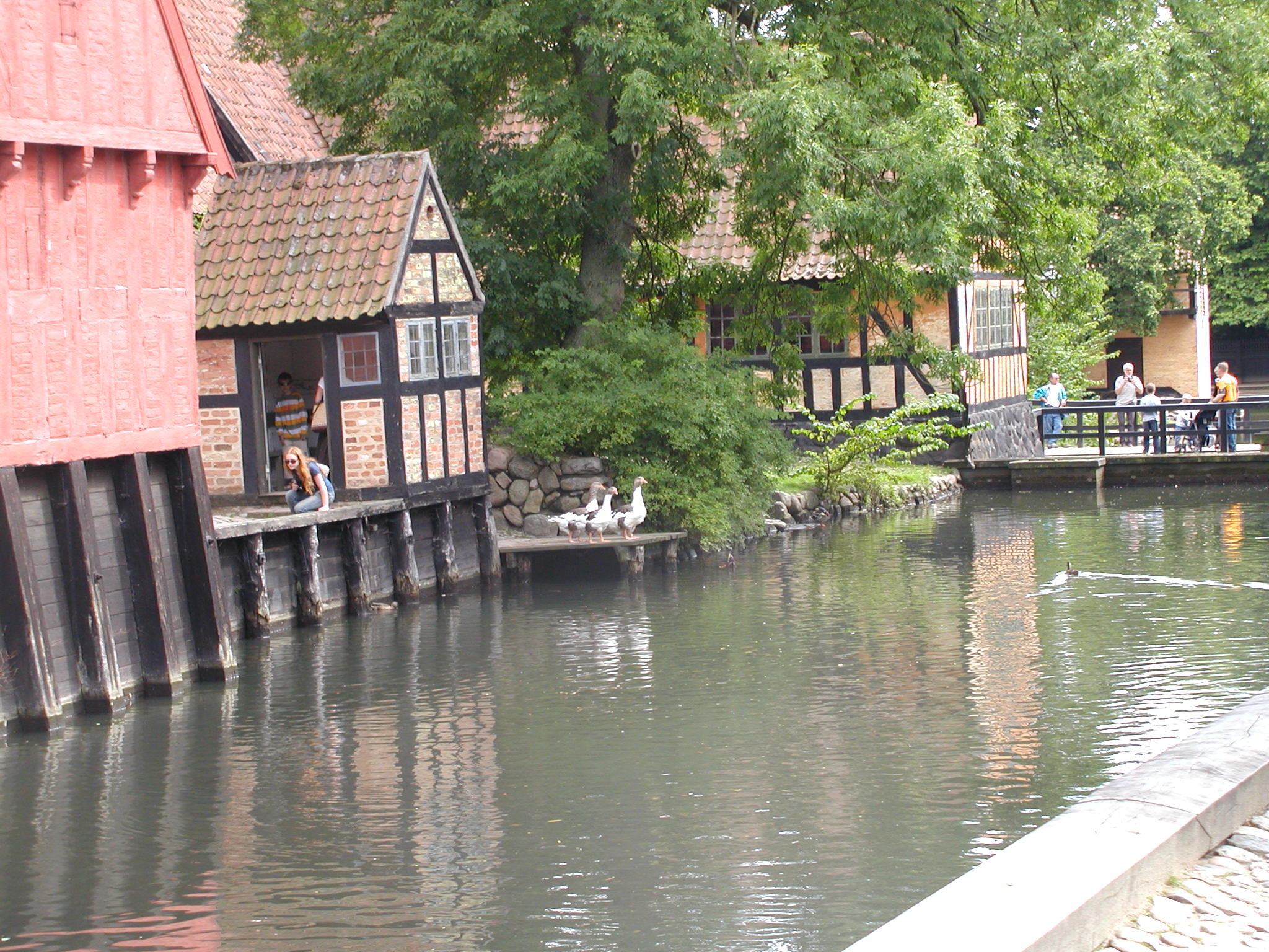 OLYMPUS DIGITAL CAMERA