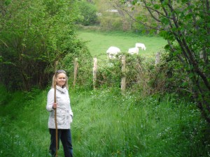 Pastoral hike, France