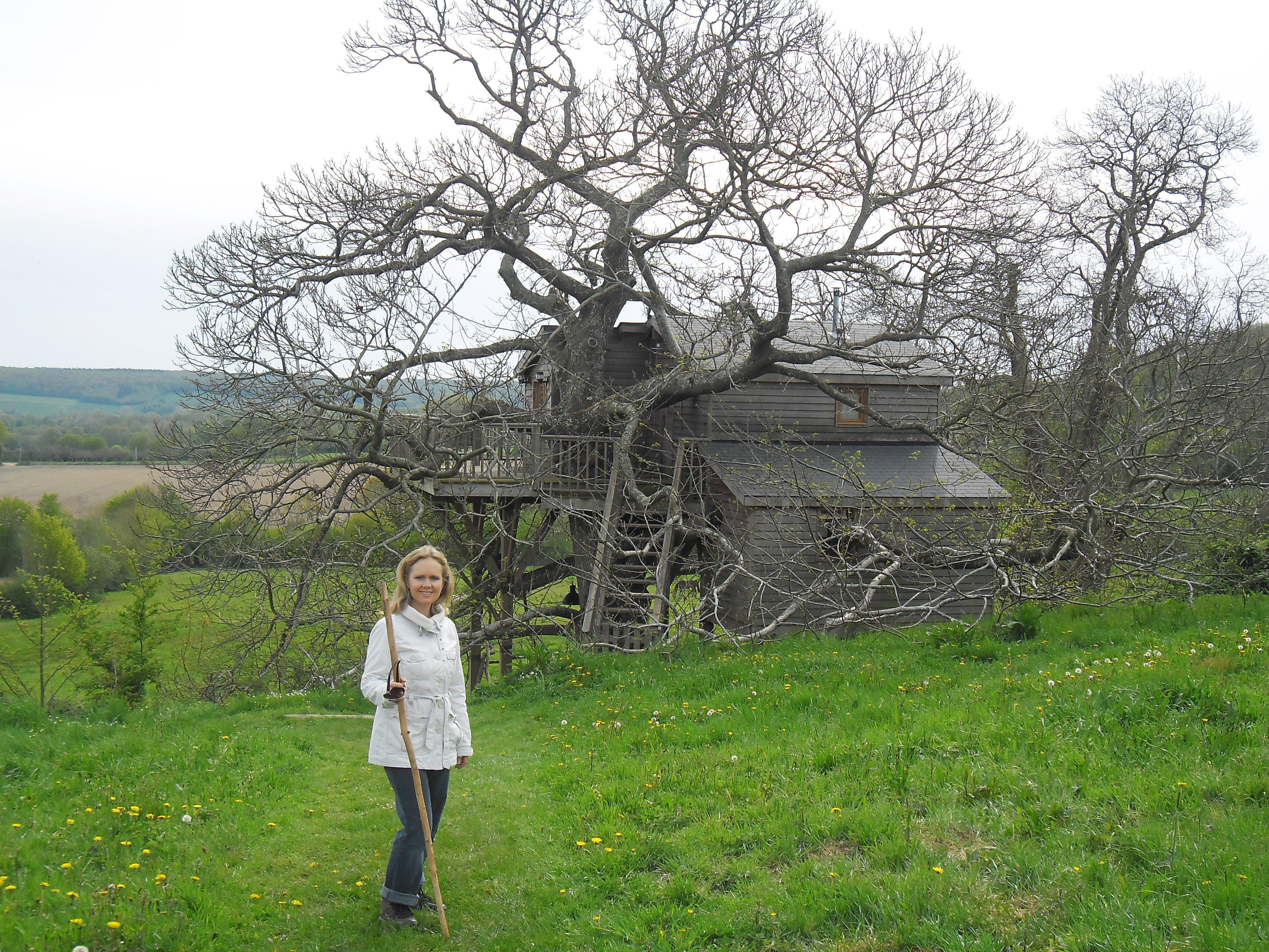 Tree House in France