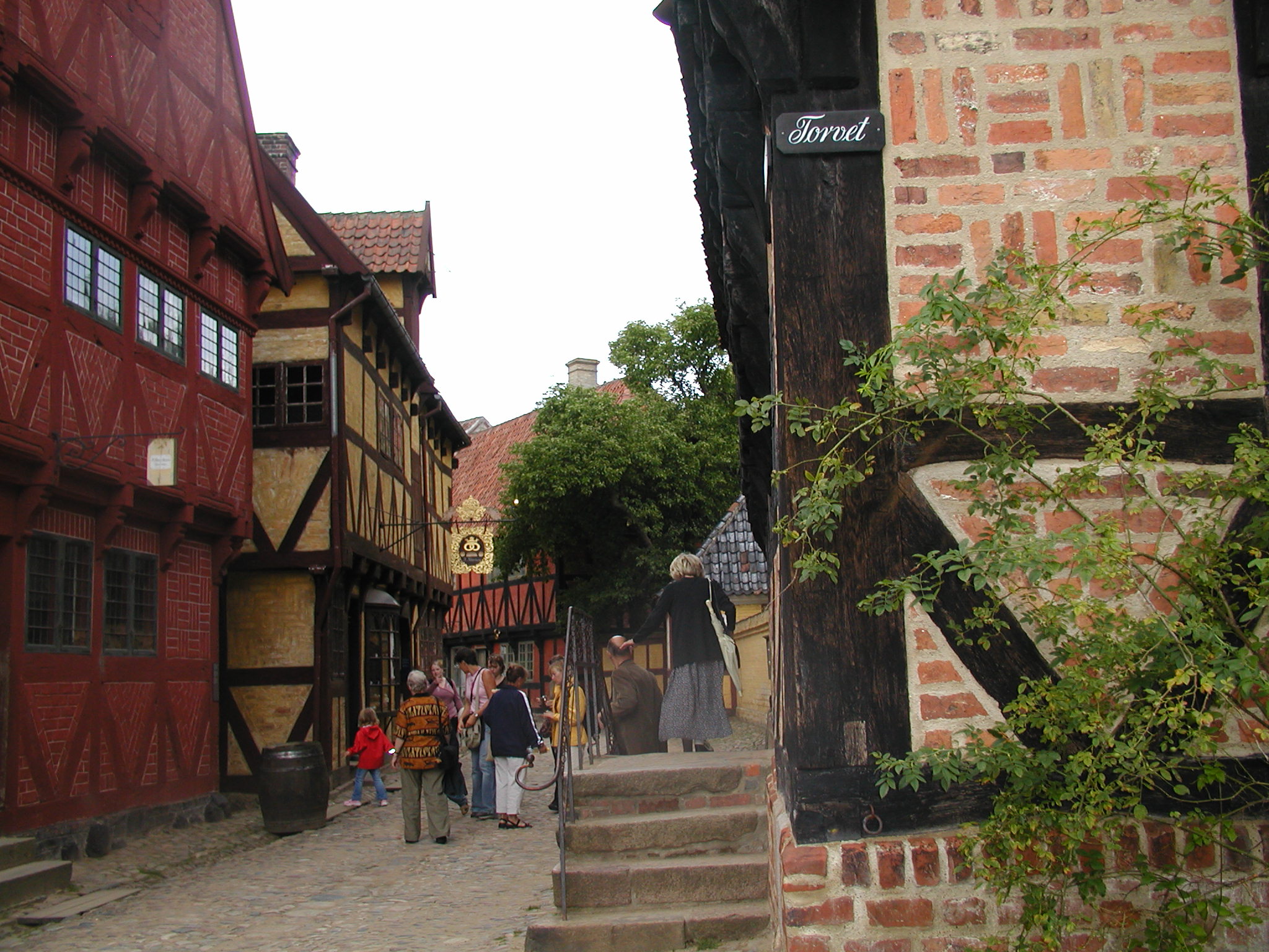 OLYMPUS DIGITAL CAMERA